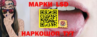 apvp Камышлов