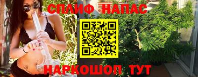 apvp Камышлов
