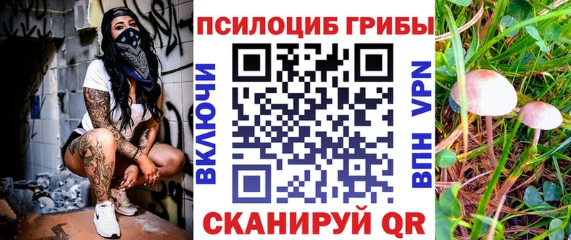 Псилоцибиновые грибы ЛСД  Павловский Посад 