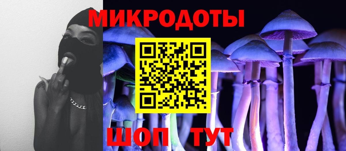 Галлюциногенные грибы прущие грибы Павловский Посад